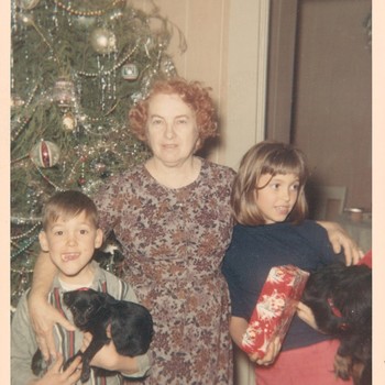 Photo of Bombi Dausin